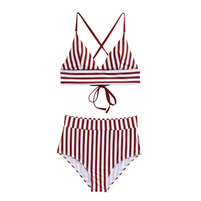 Stripes Up Bikini