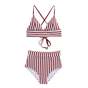 Stripes Up Bikini